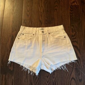 AGOLDE Parker Shorts